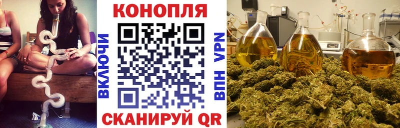 Где купить Алагир гидра как зайти Меф мяу мяу А ПВП АМФЕТАМИН ГАШИШ Бошки Шишки