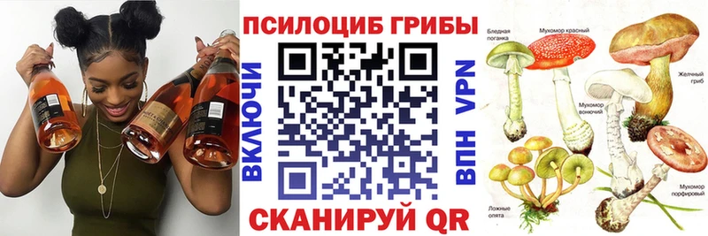 Галлюциногенные грибы прущие грибы  сколько стоит  Алагир 